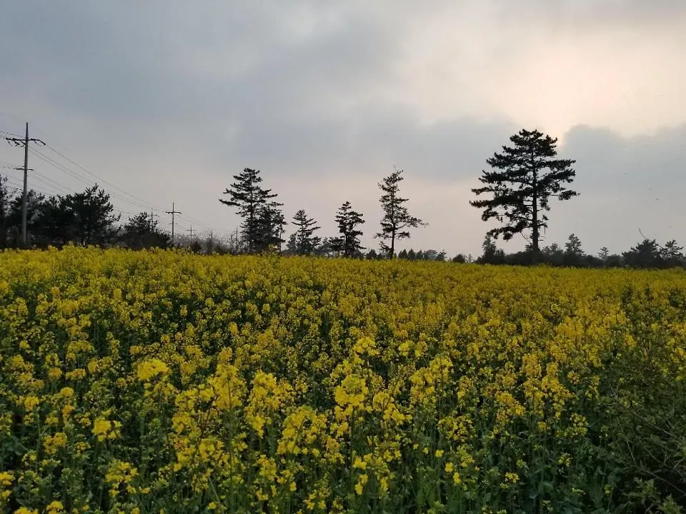 펜션 잠자는 바이크 독채펜션 제주
